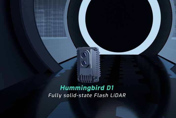 hummingbird D1