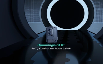 Hummingbird D1